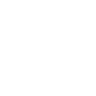 Copy Icon